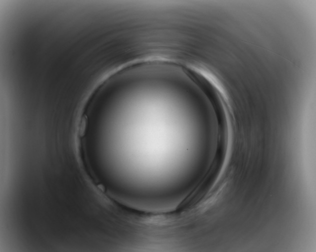 X0000088901093200706151843