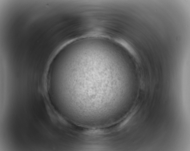 X0000088901094200706151843