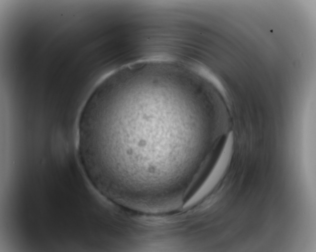 X0000088901095200706151843