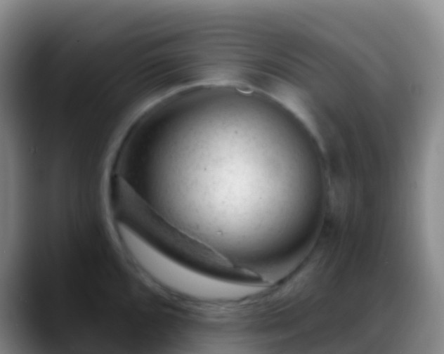 X0000088901096200706151843