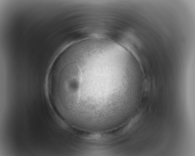 X0000088901098200706151843