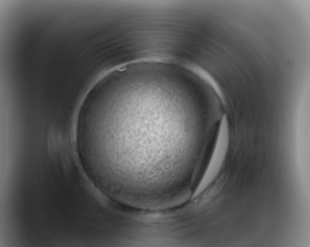 X0000088901099200706151843