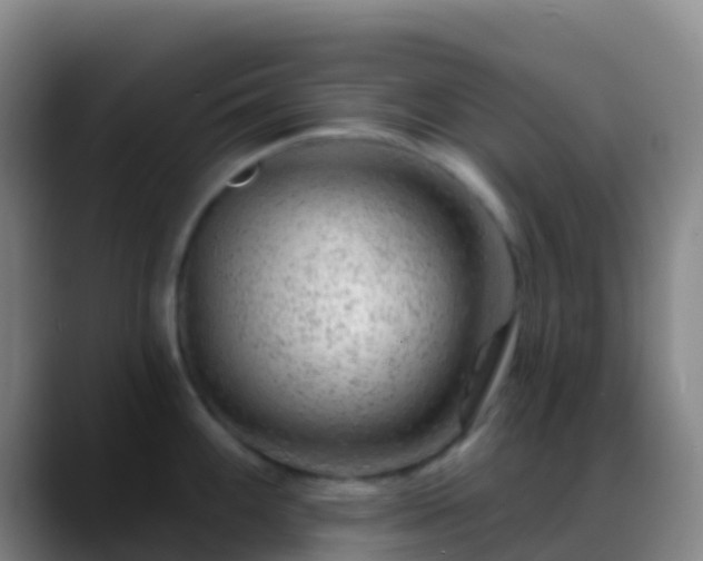X0000088901100200706151843