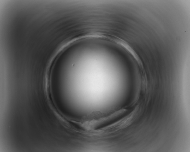 X0000088901101200706151843