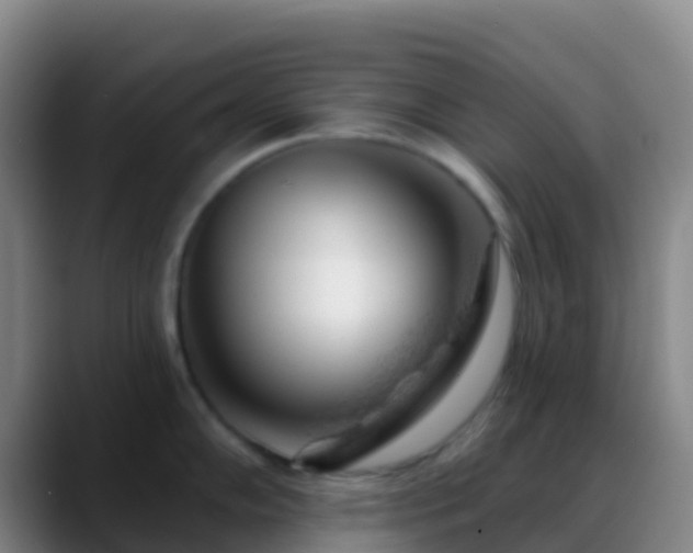 X0000088901102200706151843
