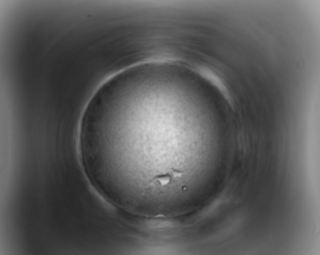 X0000088901103200706151843