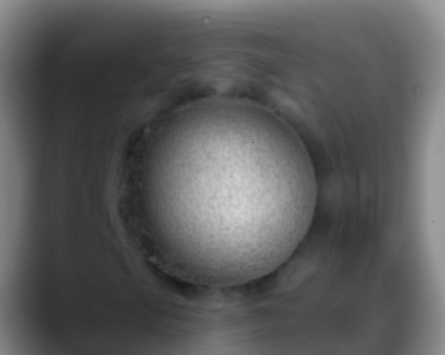 X0000088901105200706151843