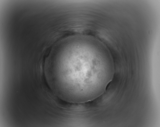X0000088901106200706151843