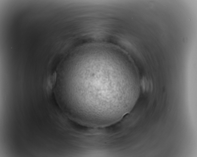 X0000088901107200706151843