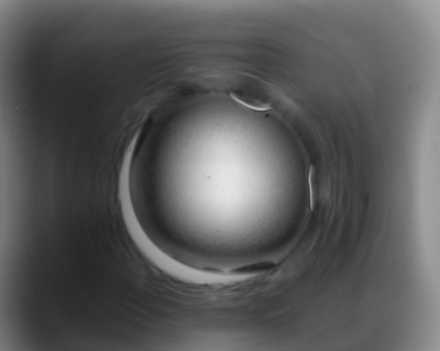 X0000088901108200706151843