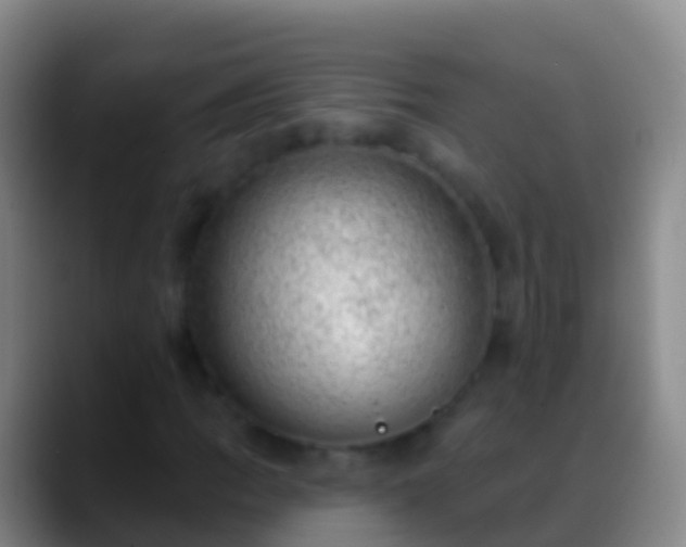 X0000088901109200706151843