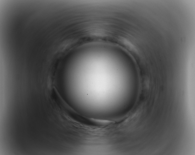 X0000088901110200706151843