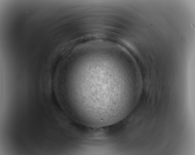 X0000088901111200706151843
