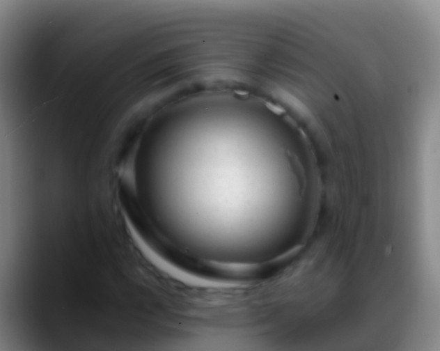 X0000088901112200706151843