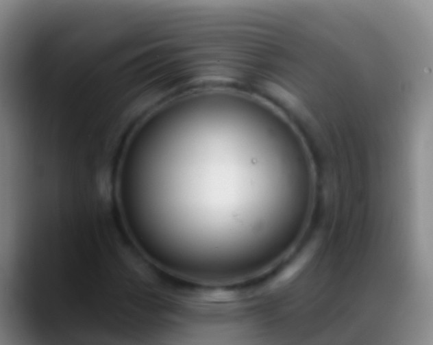 X0000088901113200706151843