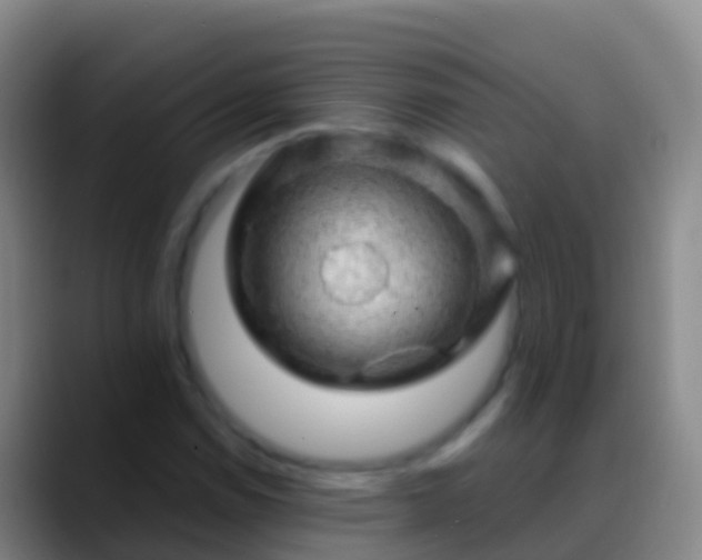X0000088901114200706151843