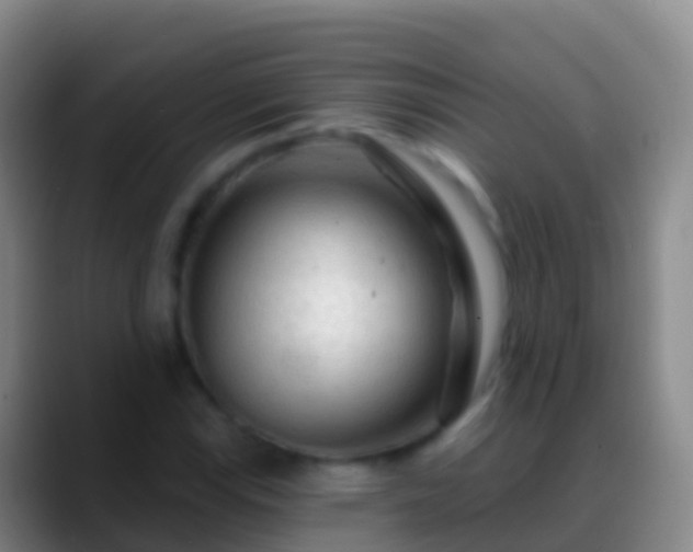 X0000088901115200706151843