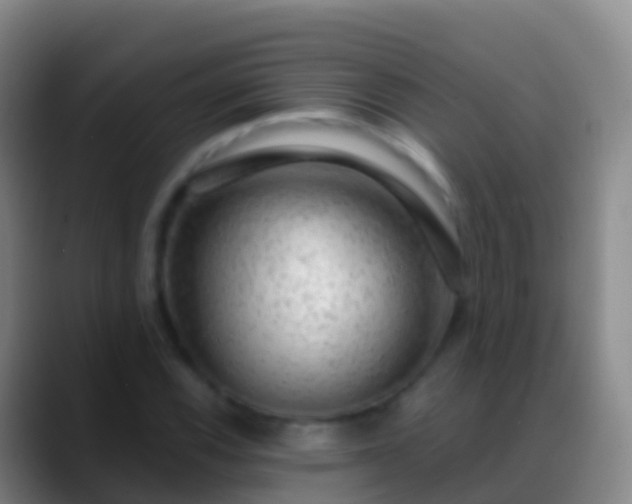 X0000088901116200706151843