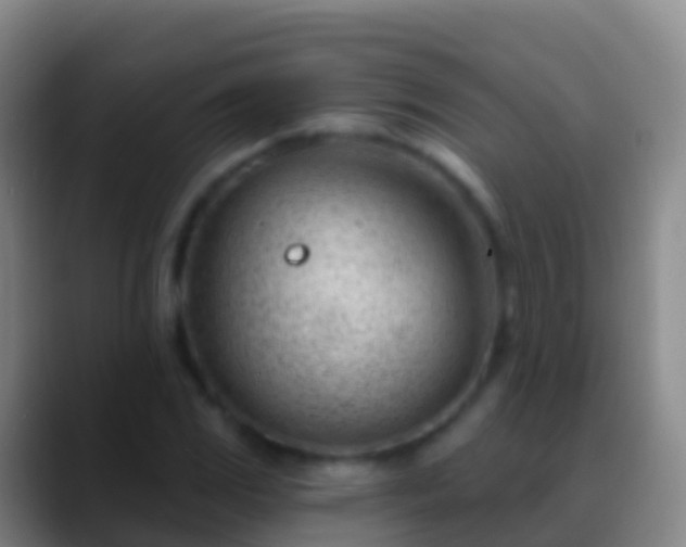 X0000088901117200706151843