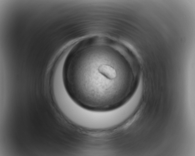 X0000088901118200706151843