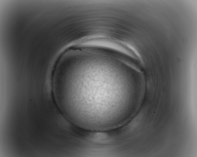 X0000088901119200706151843