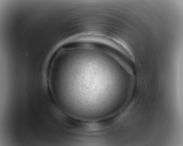 X0000088901120200706151843