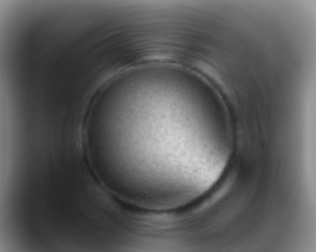 X0000088901121200706151843