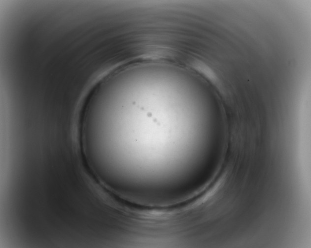 X0000088901122200706151843