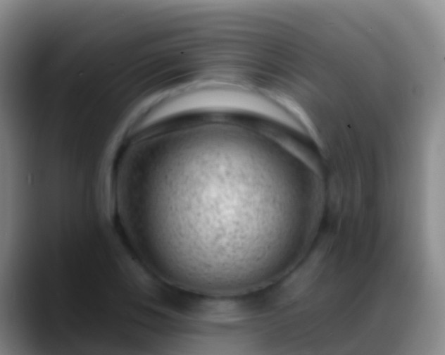 X0000088901123200706151843