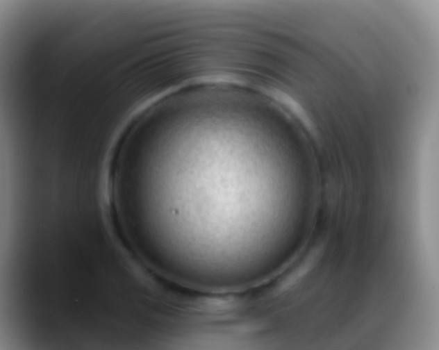 X0000088901125200706151843