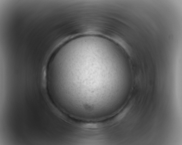 X0000088901126200706151843