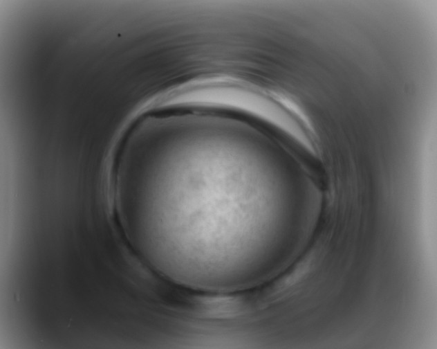 X0000088901127200706151843