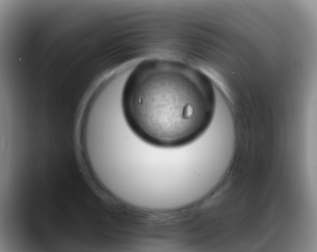 X0000088901128200706151843