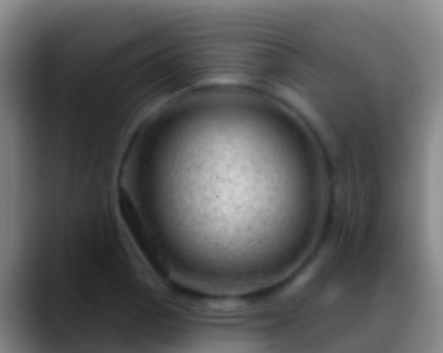 X0000088901129200706151843