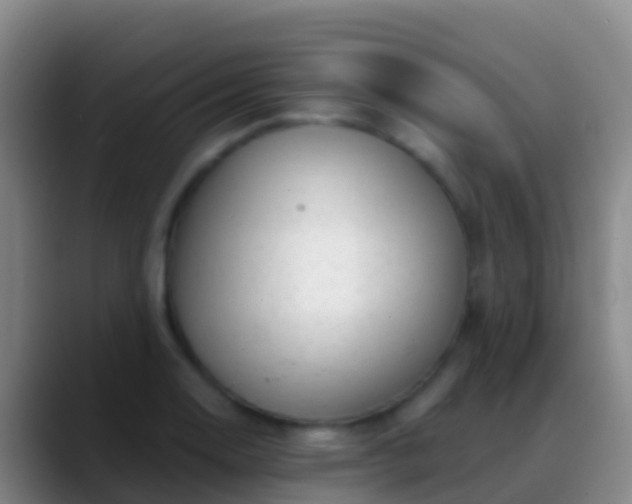 X0000088901130200706151843