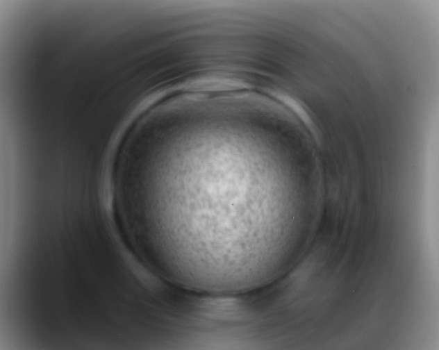 X0000088901131200706151843