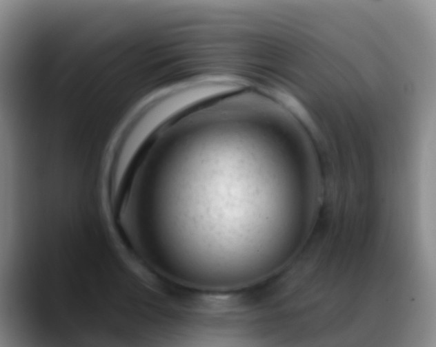 X0000088901132200706151843