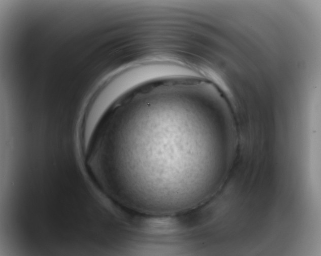 X0000088901133200706151843