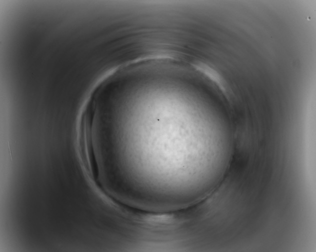 X0000088901135200706151843