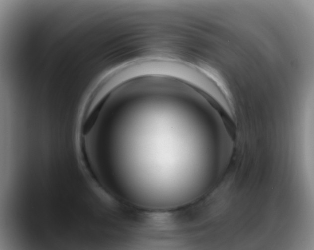 X0000088901136200706151843