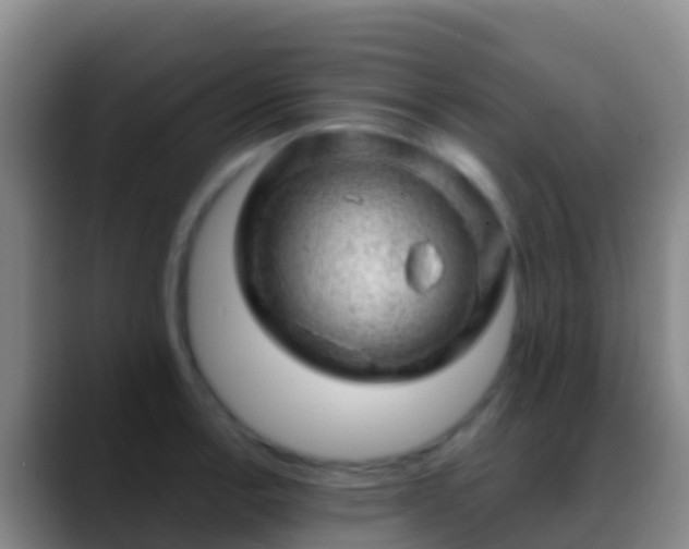X0000088901138200706151843