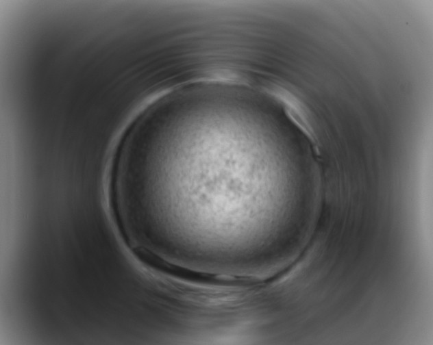 X0000088901139200706151843