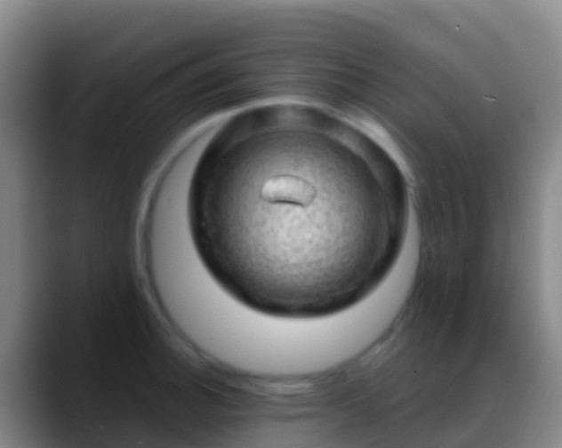 X0000088901140200706151843