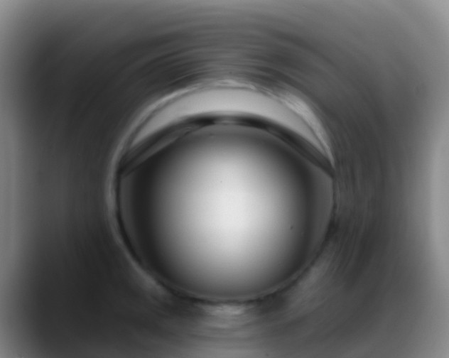 X0000088901141200706151843