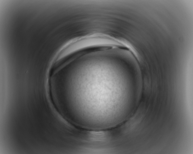X0000088901142200706151843