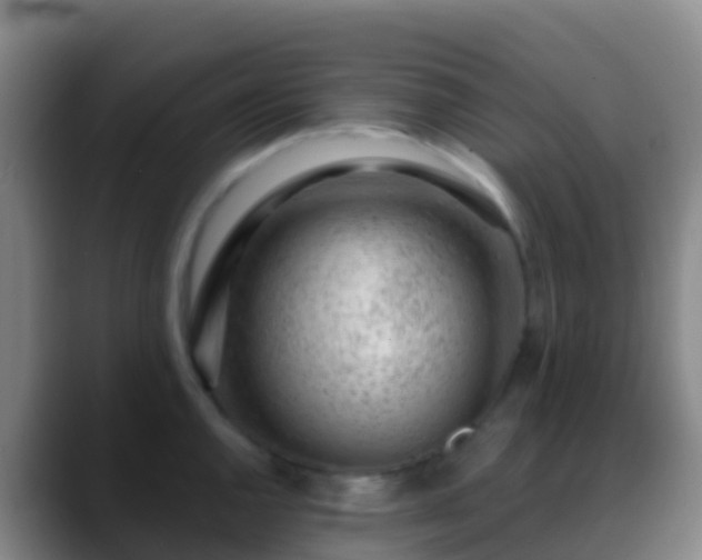 X0000088901144200706151843