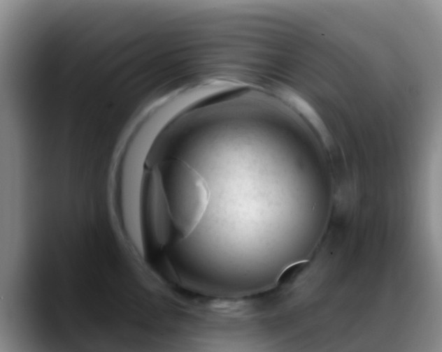 X0000088901146200706151843