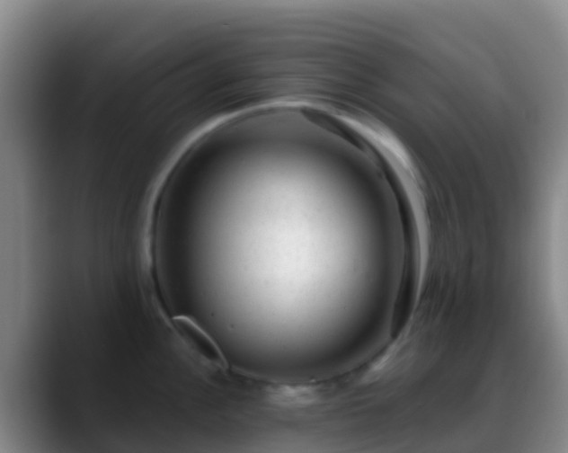 X0000088901148200706151843