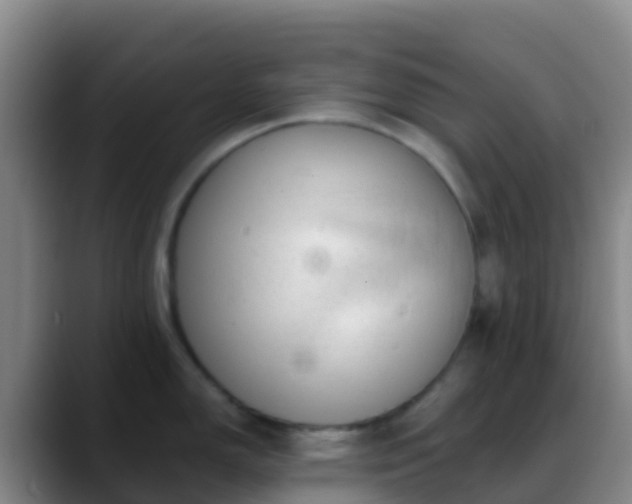 X0000088901150200706151843