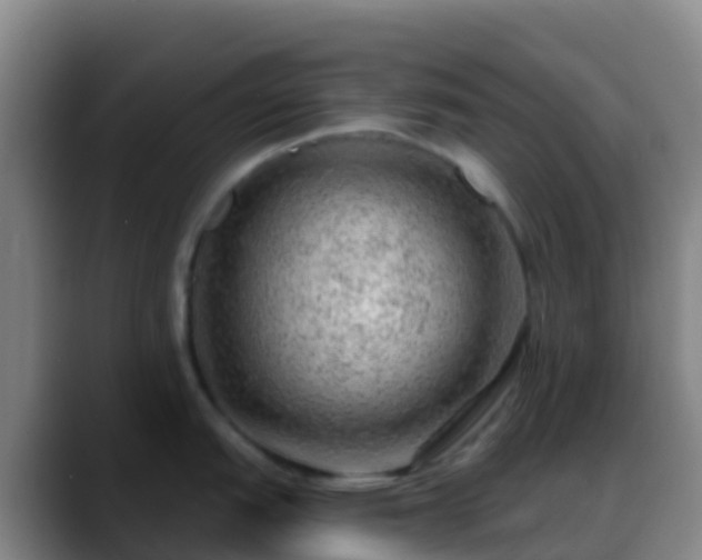 X0000088901151200706151843